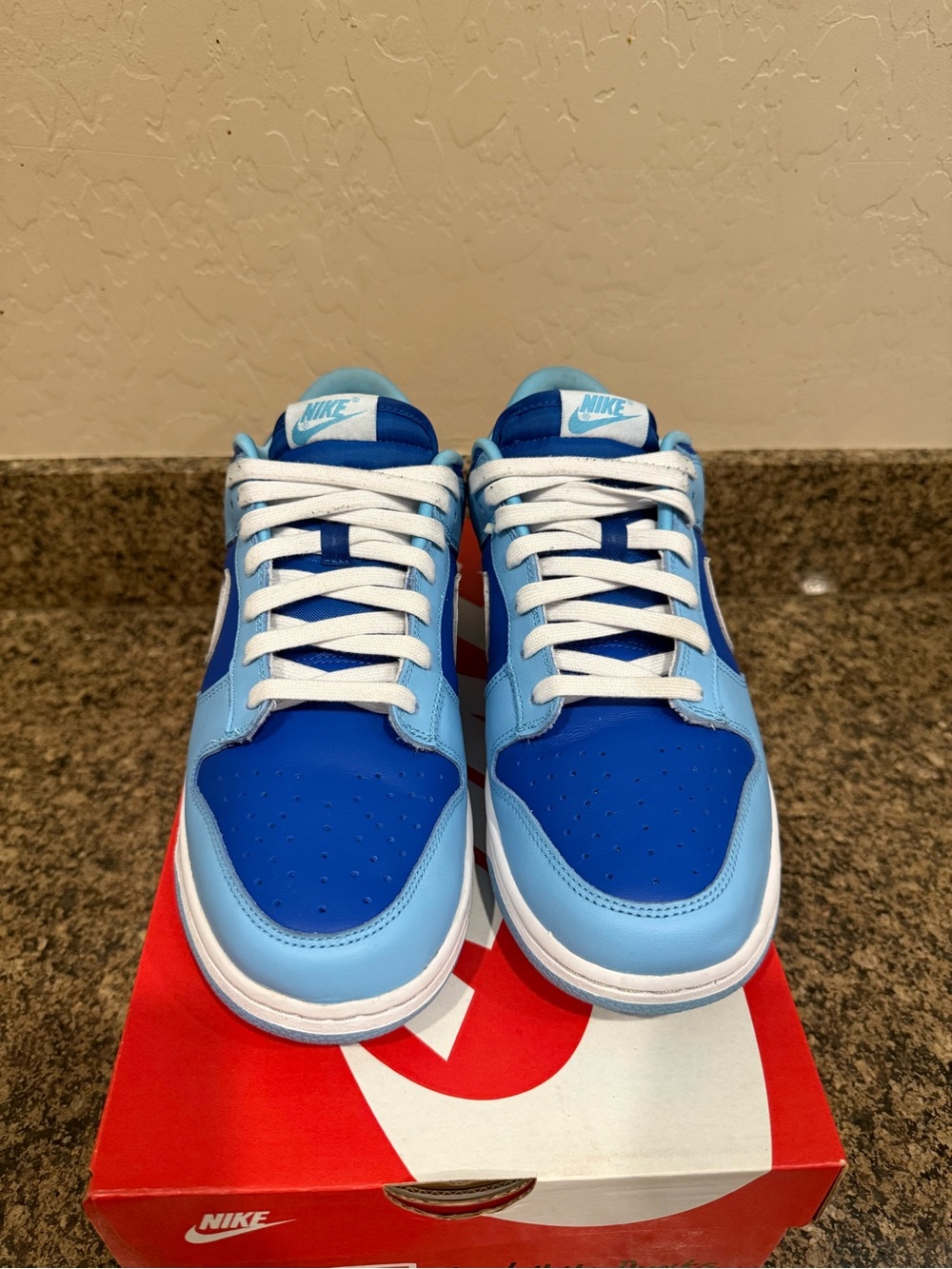 Nike Low-Top Sneakers in Dark Blue and Light Blue with White